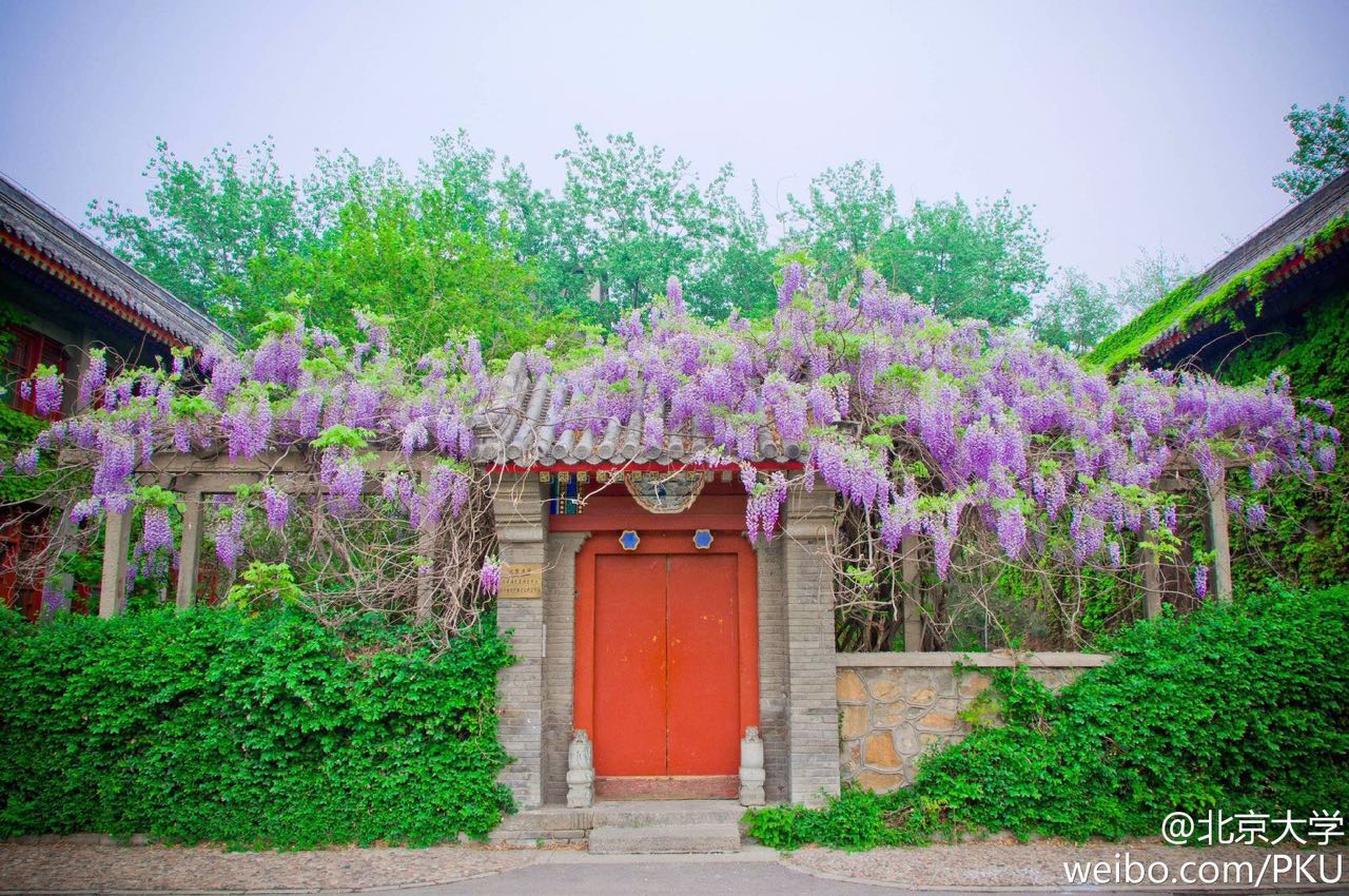 北建大风景园林图片